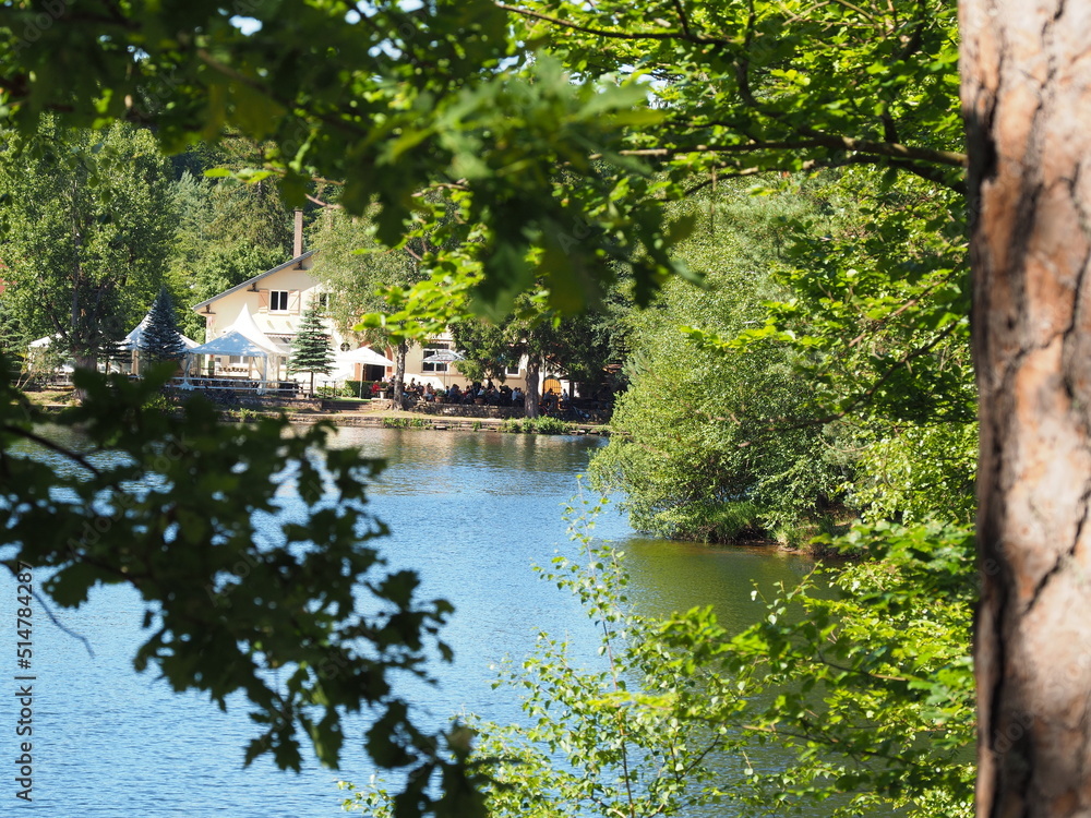 Obraz premium Hasselfurter Weiher – Stausee bei Bitsch in Frankreich