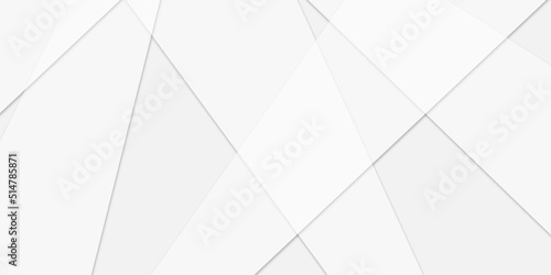Fototapeta Naklejka Na Ścianę i Meble -  Abstract white and grey minimal line design. Future geometric patterns. Modern grey white abstract gradient background. High-tech geometrical polygonal halftone Layout template .Decorative web layout 