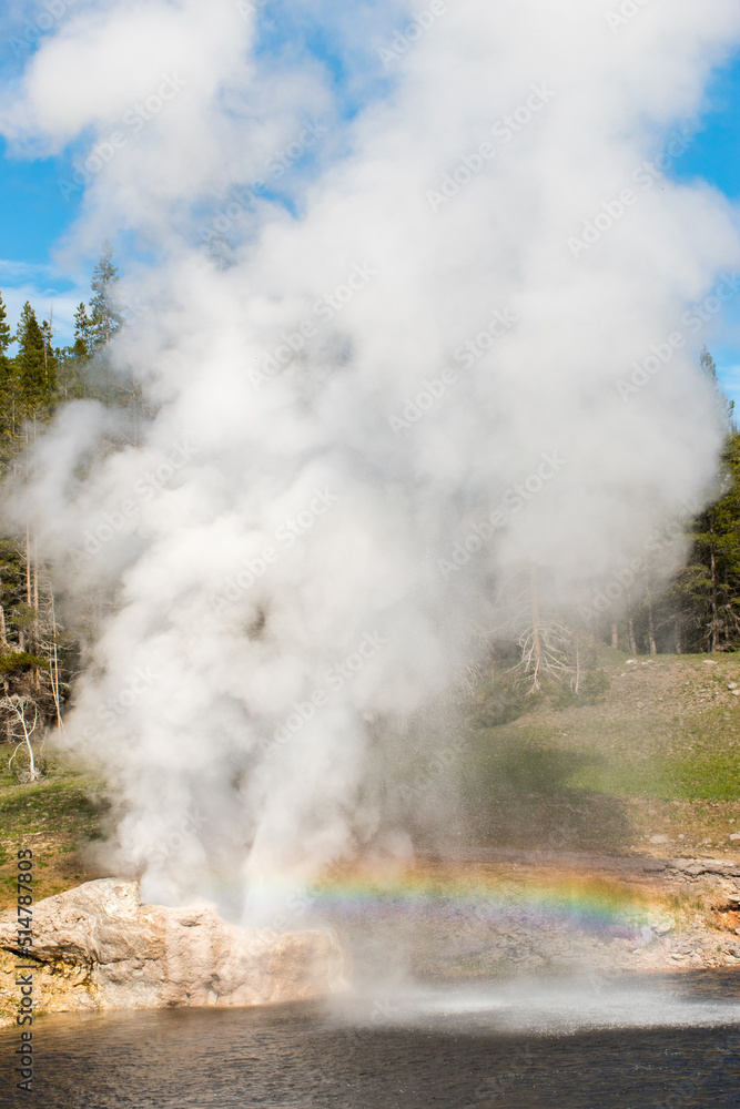 Riverside Geyser with a rainbow in Yellowstone National Park, vertical..