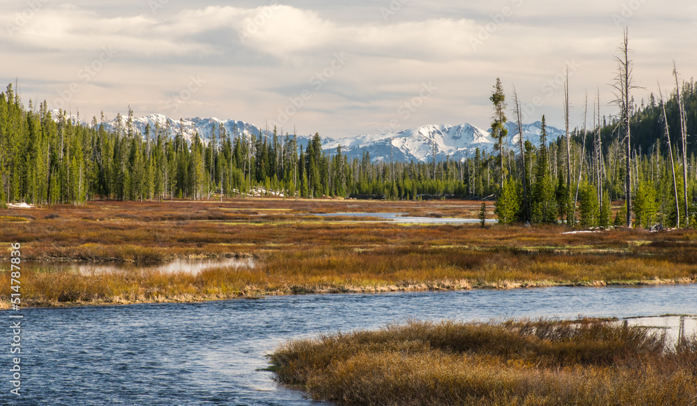 Lewis River in southern Yellowstone National Park looking toward the Teton mountains