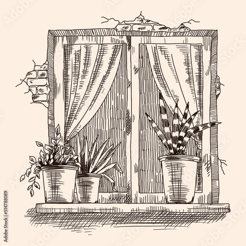 Linear sketch of an old window with curtains and flower pots on the windowsill.