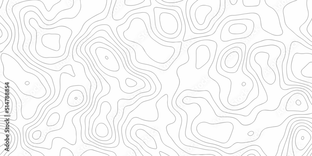 Topographic background and texture, monochrome image. 3D waves. Cartography Background, White wave paper curved reliefs abstract background Topographic background and texture, monochrome image. 3D waves. Cartography Background, White wave paper curved reliefs abstract background