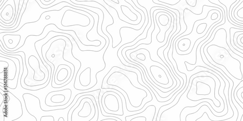Topographic background and texture, monochrome image. Cartography Background, White wave paper curved reliefs abstract background 