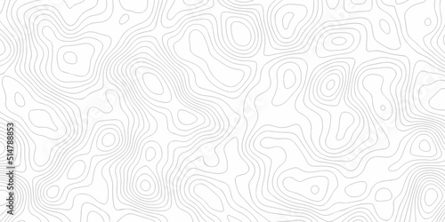 Topographic background and texture, monochrome image. 3D waves. Cartography Background, White wave paper curved reliefs abstract background 