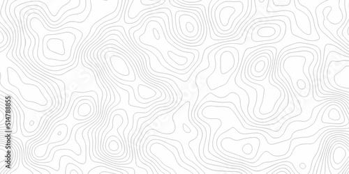 Topographic background and texture, monochrome image. abstract topography line waves. Cartography Background, White wave paper curved reliefs abstract background 