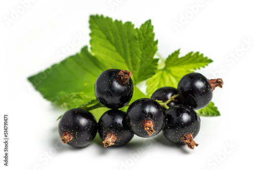 Black currant with leaves isolated. close up