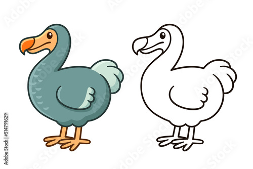 Cartoon dodo bird drawing