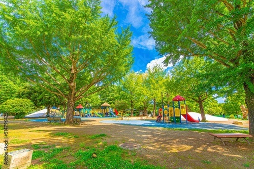 Fototapeta Naklejka Na Ścianę i Meble -  大自然の中にある公園の景色が美しい