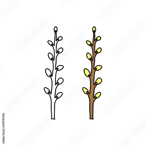 Doodle outline and colored pussy willow twig.