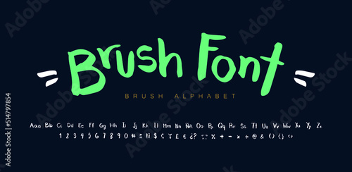 Vector Hand Drawn Alphabet Font. Brush painted letters set. (ID: 514797854)