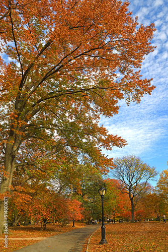 Picturesque red and golden autumn in New York City Central Park