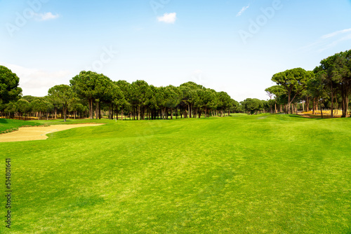 Panoramic view of beautiful golf course with pines on sunny day. Golf field with fairway, lake and pine-trees