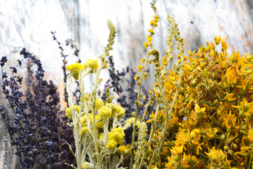 Wild flowers on wooden background close up. High quality photo