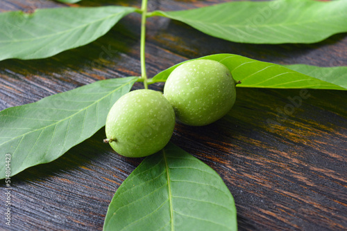 Photo of a walnut with leaves. Wildlife. Photo of nuts on a tree. Healthy lifestyle. Organic food. 