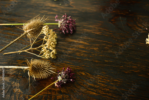 Wild flowers on wooden background close up. High quality photo