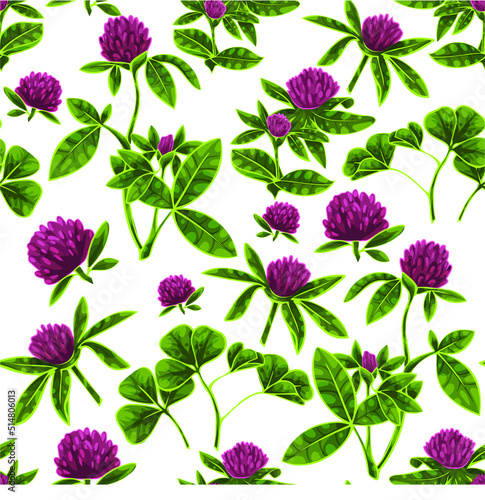 Fototapeta Naklejka Na Ścianę i Meble -  Hand drawn floral pattern alfalfa