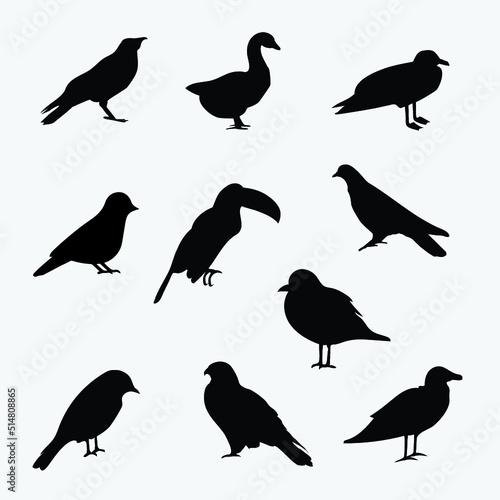 set of birds silhouettes