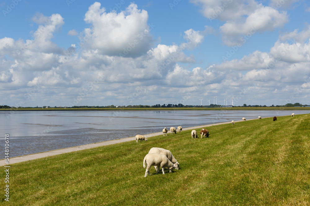 Fototapeta premium Nordsee zwischen Wilhelmshaven und Dangast am Jadebusen