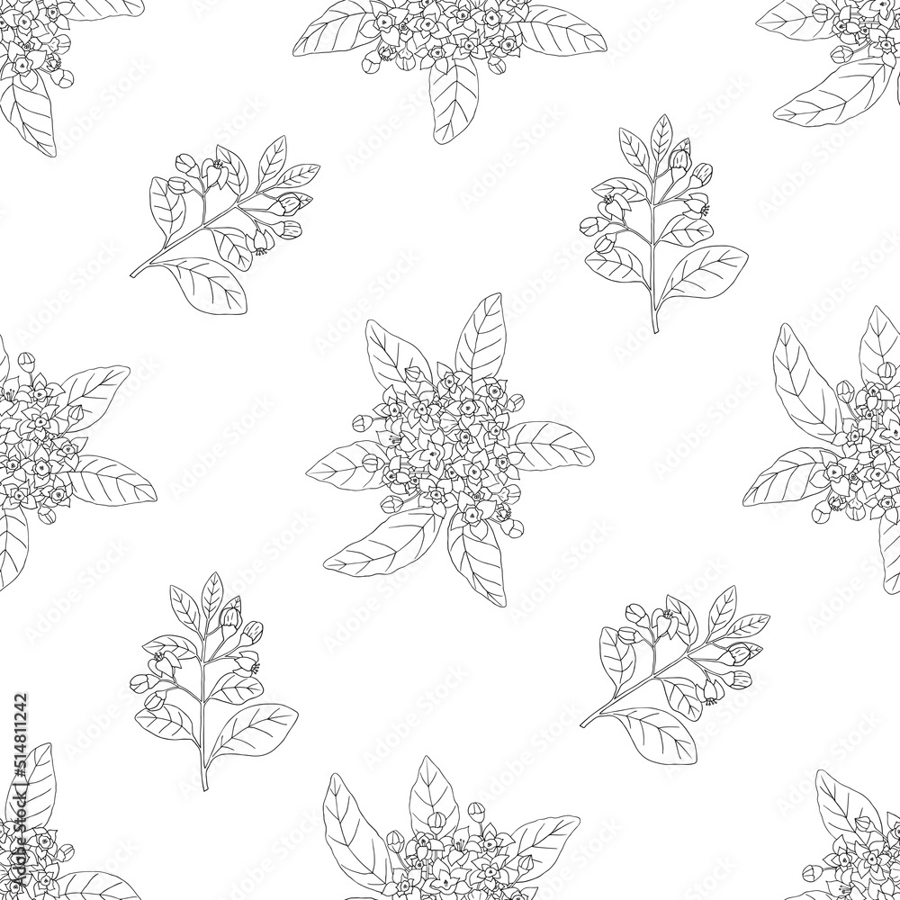 Fototapeta premium Vector seamless pattern wih sandala wood plant