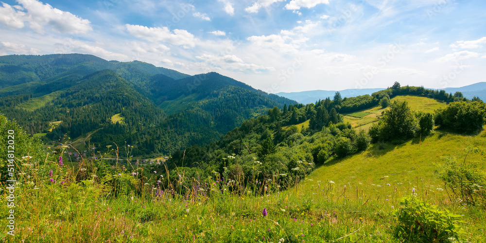 mountain landscape on a sunny day. summer vacation in carpathian countryside. grassy meadows and forests on rolling hills beneath a blue sky