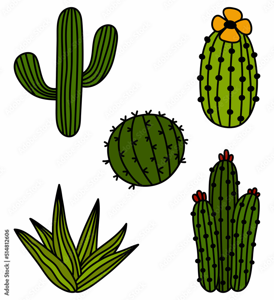 Set of hand drawn isolated cactus stickers. Vector doodle cactus icons