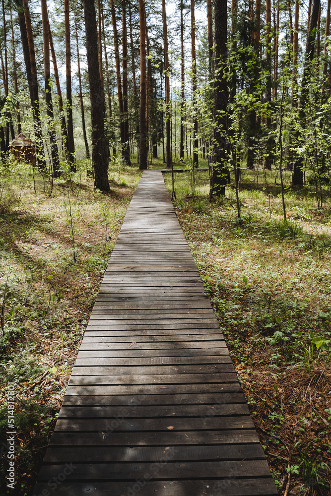 Wooden road of planks lies on the ground, ecological trail for hiking, recreation park, tourist route