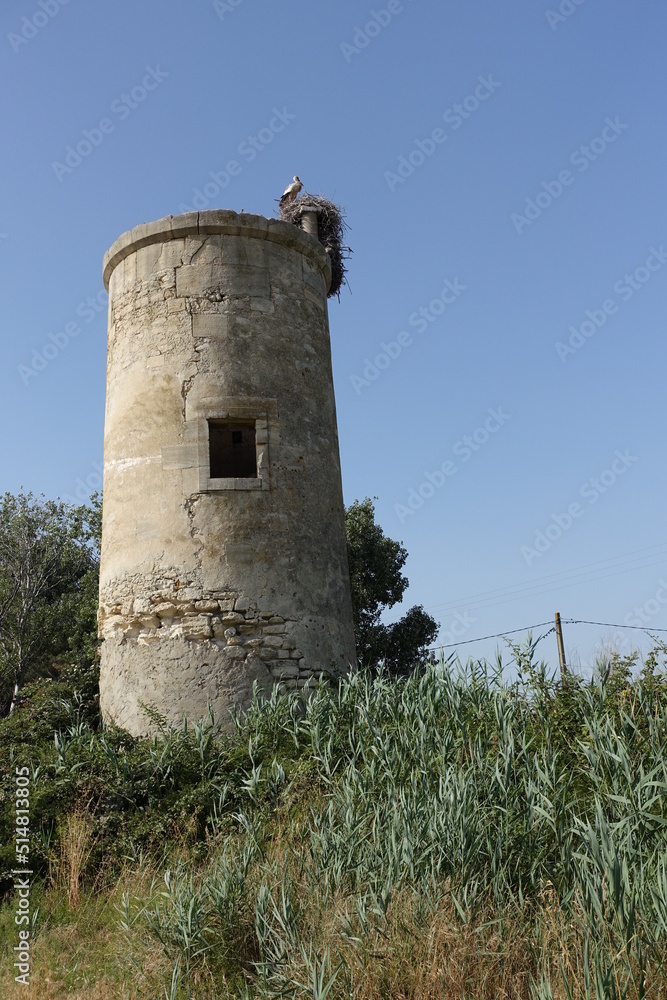 Camargue Storch auf Turm Camargue Storch auf Turm