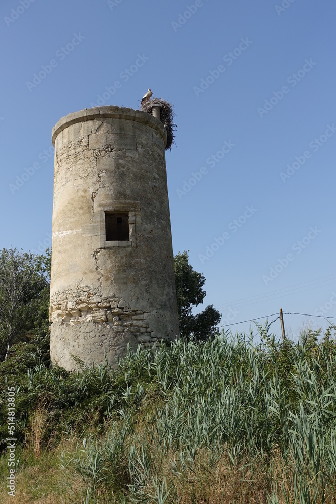 Camargue Storch auf Turm