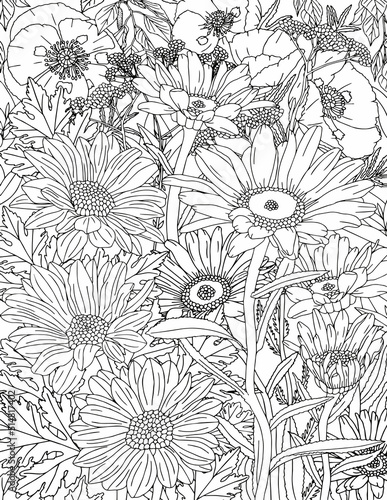 Floral pattern in black and white. Coloring page  very interesting and relaxing work for  adults. Floral carpet.