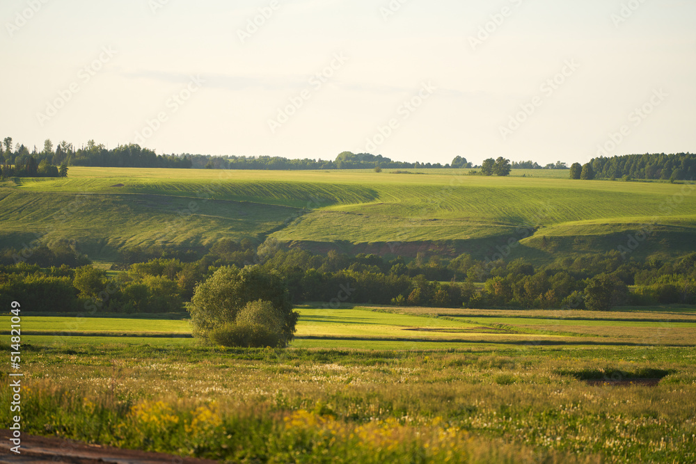 A green picturesque hilly pasture in the soft light of the setting sun. In the foreground, a riverbed overgrown with shrubs and flood meadows with wildflowers.