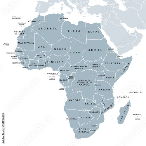 Africa, single countries, gray political map. Largest continent, including Madagascar. With English country names and international borders. Isolated illustration on white background. Vector. photo
