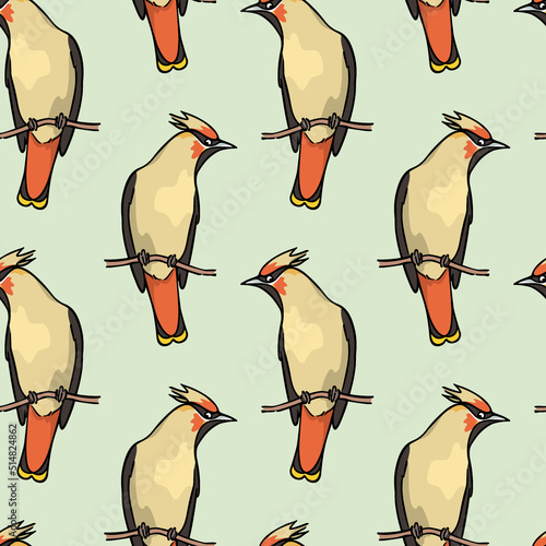 Vector seamless pattern with hand drawn cute Waxwing sitting on a tree branch. Ink drawing, graphic style. Beautiful animal design elements, perfect for prints and patterns