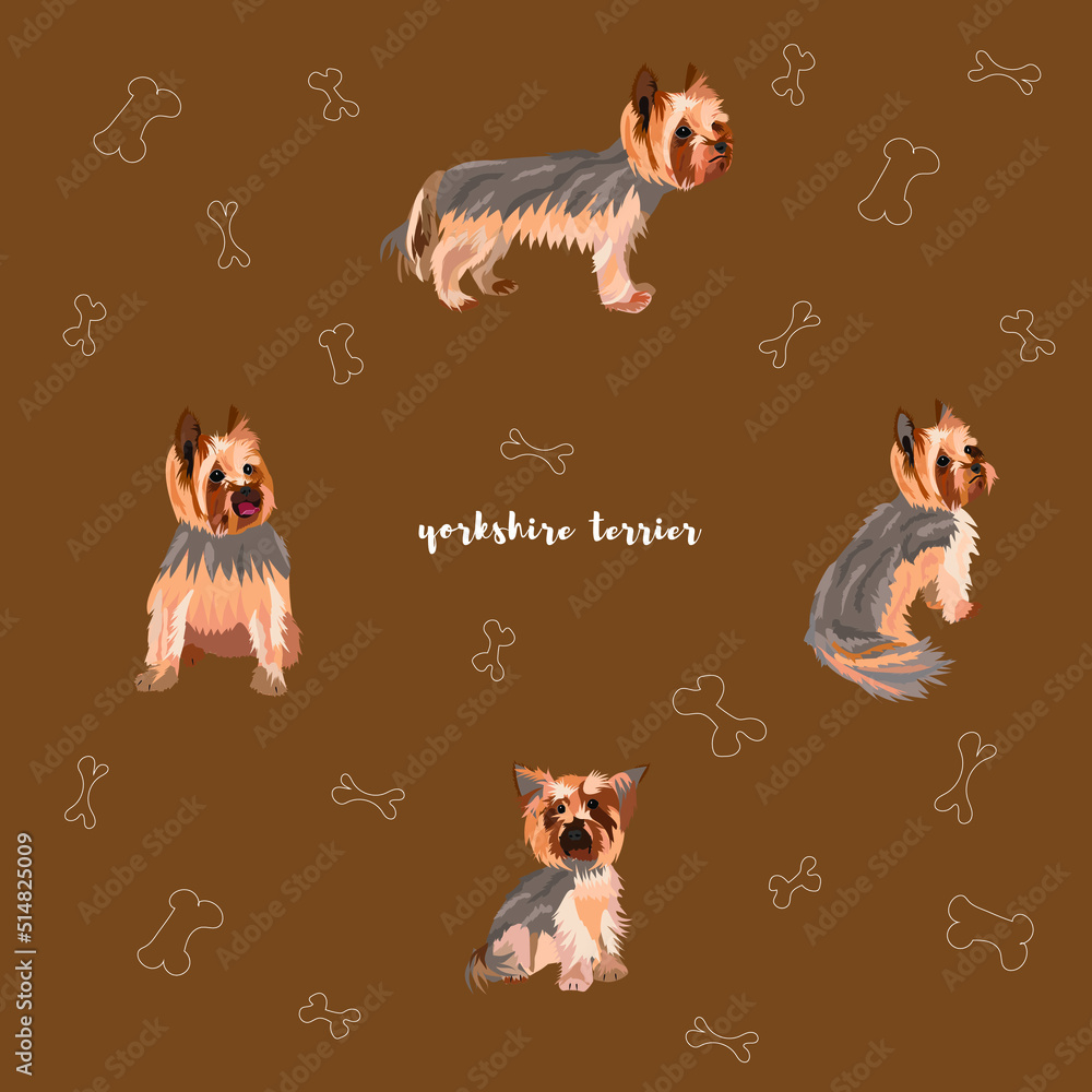 Set of Yorkshire Terrier dog in different poses. Vector illustration of ...