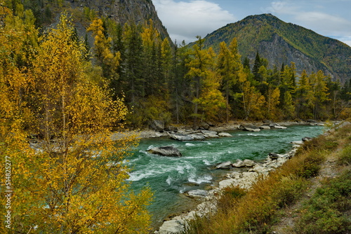 Russia. The South of Western Siberia  Altai Mountains. Only in the middle of autumn  when the mountain glaciers stop melting  the water in the Chuya River becomes transparent and rich turquoise color.