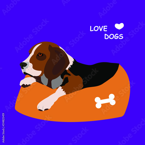 Flat beagle on pet bed for concept design. Flat vector illustration. Vector illustration design. Funny illustration. Beagle is a popular pet. Hunting dog. Orange soft spot for dogs. Illustration with 