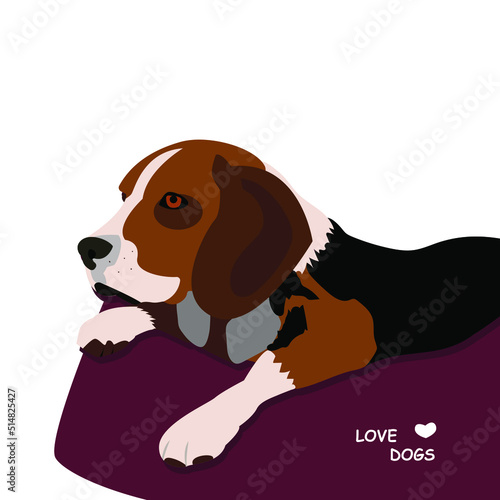 Beautiful flat illustration with beagle on pet bed for concept design. Flat vector illustration. Vector background. Funny vector illustration. Vector illustration design. Beagle is a popular pet. 