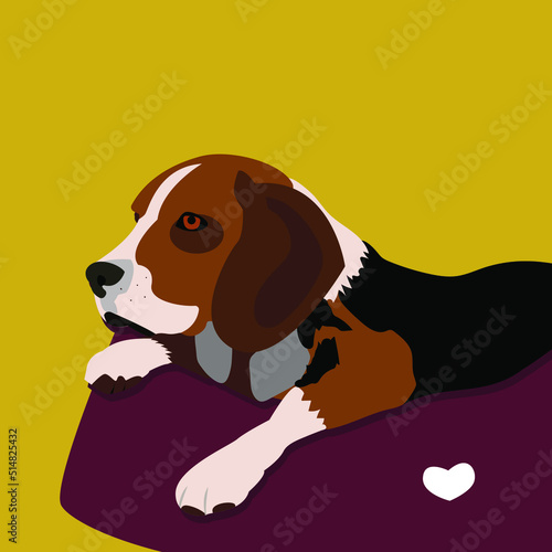 Beautiful flat illustration with beagle on pet bed for concept design. Flat vector illustration. Beagle is a popular pet.  Hunting dog. Burgundy soft seat for dogs.  Yellow isolated background.