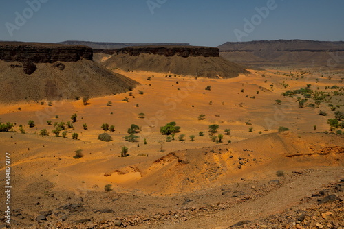 West Africa. Mauritania. Covered by the sands of the Sahara Desert, the valley of a dried-up river near the famous Terzhit oasis.