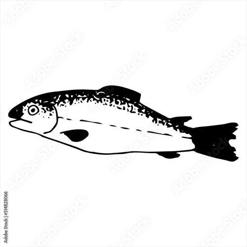 Single vector element is a pink salmon fish.