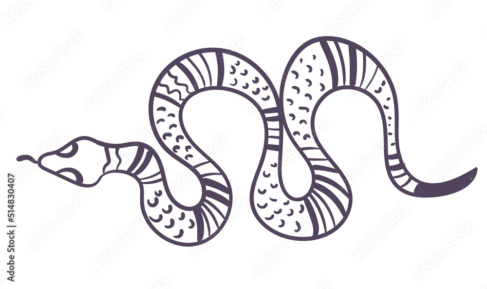 Naklejka premium Boho style ornamental magical witchy spiritual snake line art design element. Vector flat graphic design illustration