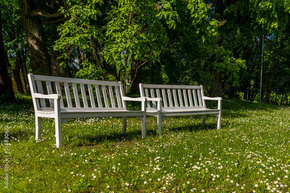 two white chairs in a white flower meadow. two white chairs in a white flower meadow.
