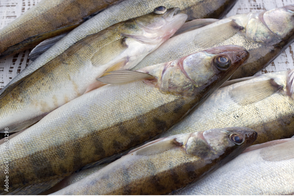Fototapeta premium Fresh fish on the table