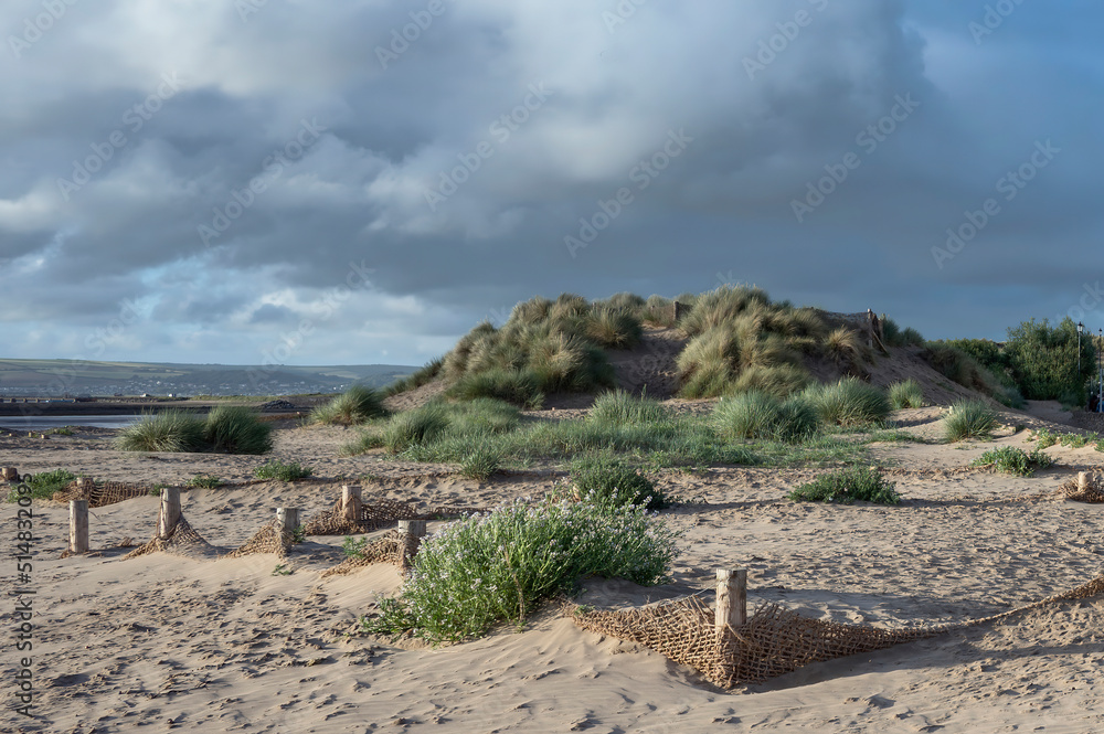 Sand Dunes on Instow beach North Devon