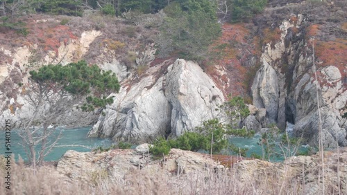 Coniferous pine cypress tree, bare rock, crag or cliff, ocean beach, blue sea water waves in bay. Nature near Big Sur, 17-mile drive. Trail to China Cove, Point Lobos, Monterey, California coast, USA.