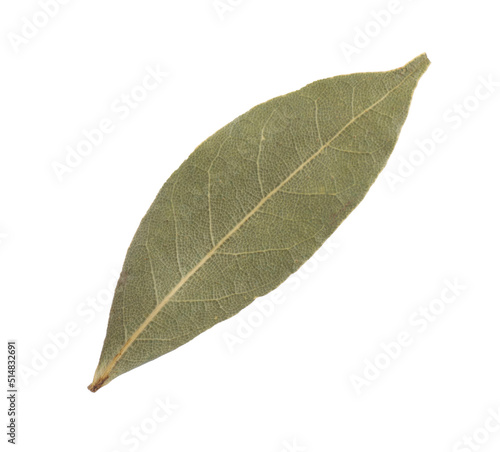 One aromatic bay leaf isolated on white
