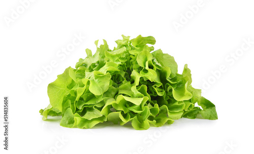 Fresh green lettuce isolated on white background.