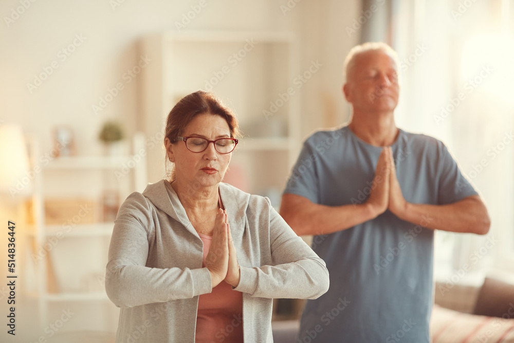 Fototapeta premium Serene aged couple concentrated on meditation standing in living room and making Namaste gesture