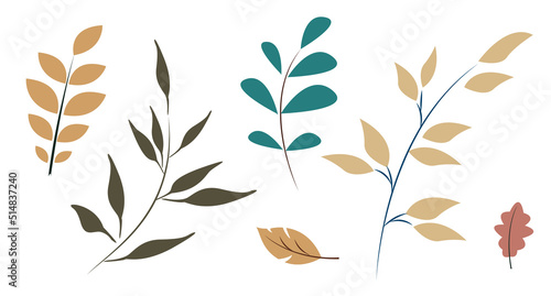 Vector plant set. Branches and leaves of trees.