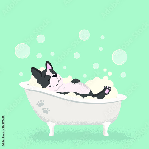 French Bulldog cartoon character taking a bath in the bath vector line icon