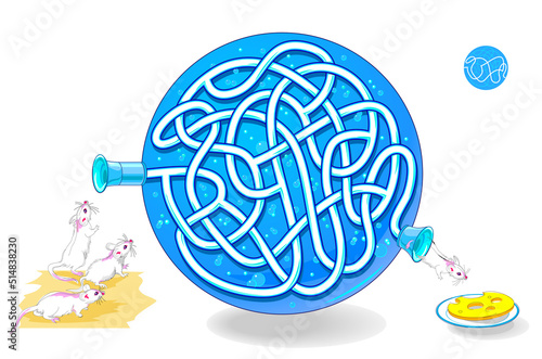 Best labyrinths. Help the lab mouse find the way to the cheese. Logic puzzle game. Brain teaser book with maze. Kids activity sheet. Educational page. Play online. IQ test. Vector illustration.
